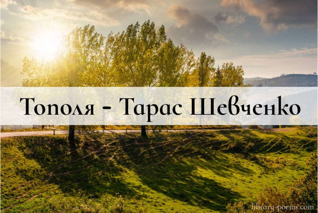Вірш Тополя - Тарас Шевченко